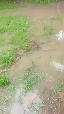 jagannath ka purva grampnchayt malhotra  atarra