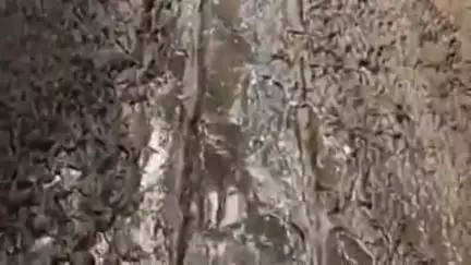 বিশালগড়: হাঁটুর উপর কাপড় তুলে হাঁটতে হচ্ছে মহিলাদের দেখা নেই কাউন্সিলারের,ঘটনা উত্তর রাউৎখলা #jansamasya