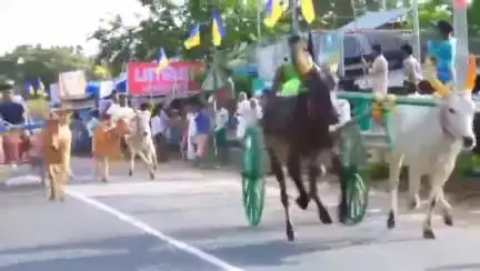 மணமேல்குடி: ECR சாலையில் வீரன் அழகுமுத்துக்கோன் குரு பூஜையை முன்னிட்டு நடைபெற்ற மாட்டு வண்டி எல்கை பந்தயம்
