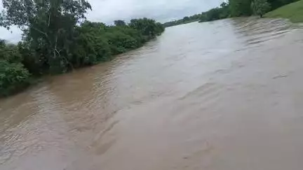 अमानगंज मिढासन नदी खतरे के निशान के ऊपर बह रही