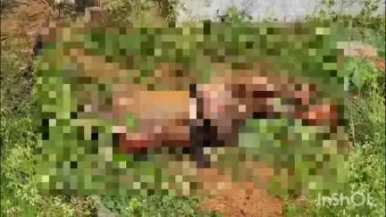 ಶ್ರೀನಿವಾಸಪುರ: ಭೂರಗನಹಳ್ಳಿಯಲ್ಲಿ ಕೊಳವೆ ಬಾವಿ ಶೆಡ್ ಗೆ ಆಕಸ್ಮಿಕ ಬೆಂಕಿ, ಶೆಡ್ ನೊಳಗೆ ಇದ್ದ ವ್ಯಕ್ತಿಗೆ ಗಂಭೀರ ಗಾಯ