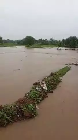 mauranipur ke katera dehat ke revan khirak me ek Main Kai Dinon Se Bhari barish ho rahi hai jisse kisanon ki fasal nahin