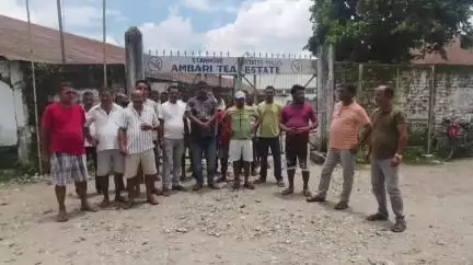 ধূপগুড়ি: বাগান খোলার দাবিতে আমবাড়ি চাবাগানে বিক্ষোভ দেখালো শ্রমিক নেতারা