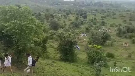 खकनार: झिरी और झांझर ग्रामों के मध्य स्थित पहाड़ियों पर 70000 बीजों के रोपण से हरित क्रांति अभियान का हुआ शुभारंभ
