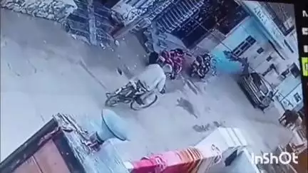 फतेहाबाद: टोहाना में दो सांडों ने बुजुर्ग पर किया हमला, गाय को रोटी देने गए थे और टक्कर के बाद मौके पर हुए बेहोश