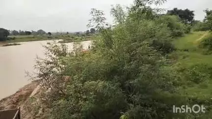 जशपुर: जशपुर में NGT के आदेश का पालन नहीं हो रहा, लावा नदी में रोजाना हो रही है 200 ट्राली रेत की तस्करी, खनिज विभाग उदासीन