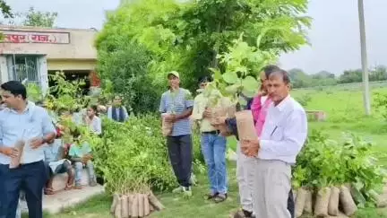 वैर: बांसी गांव के राजकीय उच्च माध्यमिक विद्यालय में हरियालो राजस्थान अभियान के तहत 551 पौधों का किया गया रोपण