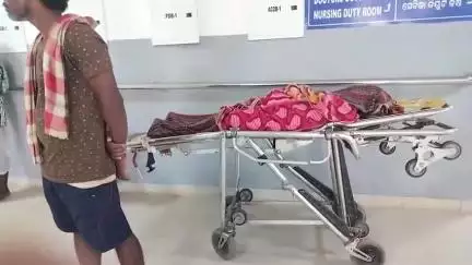 ଅନୁଗୋଳ: ହାତୀବାରି ଗ୍ରାମରେ ସାପ କାମୁଡାରେ ୧୨ ବର୍ଷୀୟ ନାବାଳକଙ୍କ ମୃତ୍ୟୁ