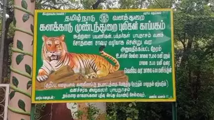 அம்பாசமுத்திரம்: அகஸ்தியர் அருவியில் குவியும் சுற்றுலா பயணிகள் - விடுமுறை நாட்களில் அலைமோதும் கூட்டம்