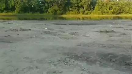 নলবাৰী: অনা বৃষ্টিৰ ফলত শুকাইছে পাগলাদিয়া নৈ , মৰুভূমি সদৃশ পৰিবেশ সন্ধা পাগলাদিয়া ঘাটকে ধৰি নৈখনত#jansamasya