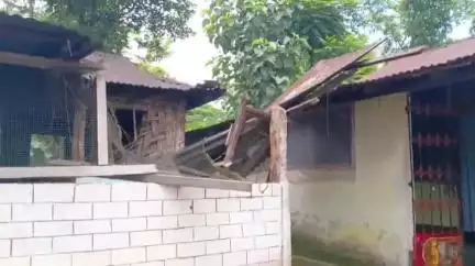 রাজগঞ্জ: দেওপানি বস্তিতে হামলা চালিয়ে একটি বাড়ি গুড়িয়ে দিল বুনো দাতাল হাতি, এলাকায় আতঙ্ক
