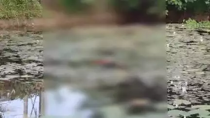বইটামাৰী: যোগীঘোপাৰ বৰপাৰাত পুখুৰীত উদ্ধাৰ মৃতদেহটো আৰক্ষীয়ে মৰোন্নোত্তৰ পৰীক্ষাৰ বাবে বঙাইগাঁও অসামৰিক চিকিৎসালয়ত প্ৰেৰণ কৰে