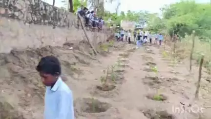 रोहट: रोहट के राणा गांव में हरियाला राजस्थान के तहत सरकारी विद्यालय के स्टाफ ने लगाए 500 से अधिक पौधे
