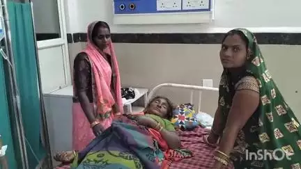 पाटन: ग्राम पौड़ी खुर्द में जंगल में लकड़ी लेने गई महिला को सांप ने काटा, इलाज के लिए जबलपुर रेफर