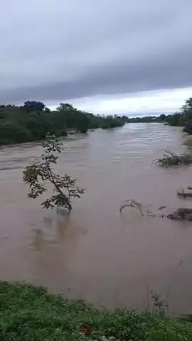 अमानगंज: बढ़ते जल स्तर को लेकर अमानगंज थाना प्रभारी ने दी नसीहत की अपील