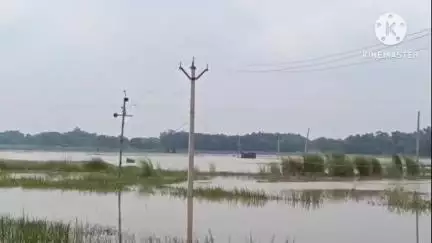 সাঁকরাইল: ঘুনিয়াখালের জল বন্দি সাঁকরাইলের চাষের জমি, খাল সংস্কারের দাবি গ্রামবাসীদের
#jansamasya