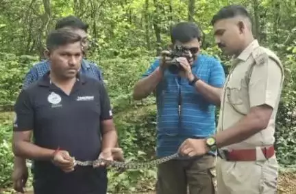 ନର୍ଲା: ଅବୁଜବାହାଲ ଠାରେ ଉଦ୍ଧାର ହେଲା  ଆଉ ଏକ ଅଜଗର ସାପ। ଅଞ୍ଚଳରେ ଭୟଭୀତ।