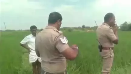 புவனகிரி: பொன்னாங்கோவில் கிராமத்தில் வயல்வெளியில் மூதாட்டியின் எலும்புக்கூடு கண்டெடுப்பு, போலீசார் விசாரணை