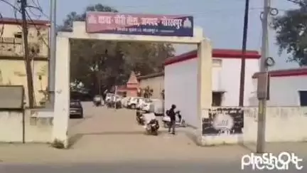 चौरीचौरा: सरैया कॉलोनी में सर्पदंश से एक महिला की हुई मौत, परिजनों ने मृत घोषित किए जाने के बाद भी कराया झाड़-फूंक