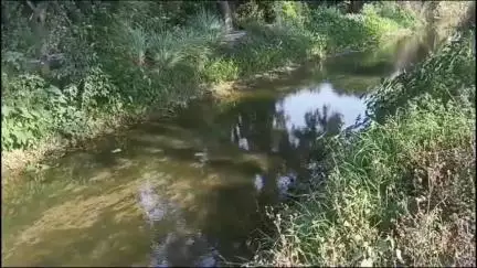 बड़ौत: बावली में नहर में मिला युवक का शव, हाथ पर महाकाल का टैटू बना था, शिनाख्त नहीं हो पाई