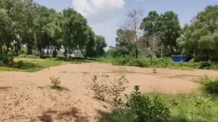 ଯାଜପୁର: ରାଜସ୍ୱ ବିଭାଗ ପକ୍ଷରୁ ପଣସା ପଞ୍ଚାୟତର ବିଭିନ୍ନ ଅଞ୍ଚଳରେ ଚଢ଼ାଉ, ବେଆଇନ ଭାବେ ଗଚ୍ଛିତ ବାଲି ଜବତ ପାଇଁ ନୋଟିସ ଜାରି