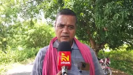 ଛେଣ୍ଡିପଦା: କଣଲୋଇ ଅଞ୍ଚଳରେ ବଢୁଛି ହାତୀ ଉପଦ୍ରବ, ପ୍ରତିକ୍ରିୟା ରଖିଲେ ପୂର୍ବତନ ସରପଞ୍ଚ