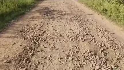 గ్యామాతండా, కేశ్యాతండాలకు తారురోడ్డు సౌకర్యం కల్పించాలని అధికారులు, ప్రజాప్రతినిధులకు స్థానికుల విజ్ఞప్తి #localissue