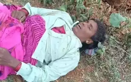 కనిగిరి: పామూరు మండలం తిరగల దిన్నే జాతీయ రహదారిపై ట్రాక్టర్ అదుపుతప్పి బోల్తా, మహిళా కూలి అక్కడికక్కడే మృతి