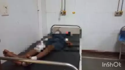 तिर्वा: ठठिया के पट्टी गांव के सामने बाइक आवारा जानवर से टकराई, दो युवक घायल, मेडिकल कॉलेज में भर्ती