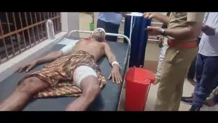 ଛେଣ୍ଡିପଦା: ଜଳତାପ ଜଙ୍ଗଲ ନିକଟରେ ଭାଲୁ ଆକ୍ରମଣରେ ଜଣେ ଗୁରୁତର l