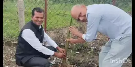 केवलारी: नगर स्थित मोक्षधाम एवं विशाल शिव प्रतिमा परिसर में किया गया वृक्षारोपण