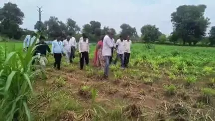 सिकराय: सिकराय में कृषि आयुक्त चिन्मयी गोपाल ने कई गांवों का दौरा कर पॉली हाउस और प्राकृतिक-जैविक खेती का निरीक्षण किया