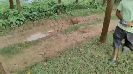 মঙ্গলকোট: মঙ্গলকোটের বারোগ্রামে অজয় নদের বাঁধে তৈরি হয়েছে বড় গর্ত,সামাজিক মাধ্যমে ভিডিও পোস্ট করে প্রসাশনকে সতর্ক করল এলাকাবাসী