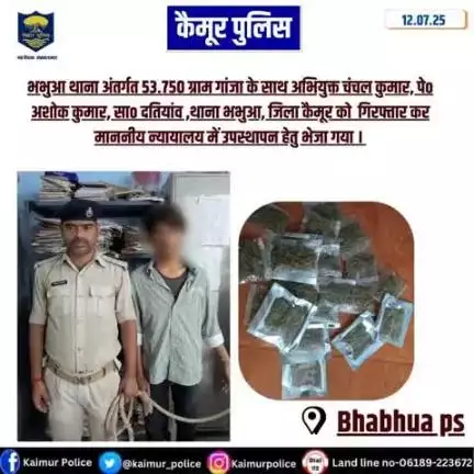 भभुआ थाना अंतर्गत 53.750 ग्राम गांजा के साथ अभियुक्त चंचल कुमार, पेo अशोक कुमार, साo दतियांव ,थाना भभुआ, जिला कैमूर को  गिरफ्तार कर  माननीय न्यायालय में उपस्थापन हेतु भेजा गया।
Bihar Police