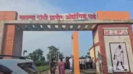 अन्तागढ़: कांकेर सांसद भोजराज नाग एवं अंतागढ़ विधायक विक्रम उसेंडी ने हरनगढ में हितग्राहियों को बांटी दुधारू गाय
