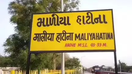 માળીયા હાટીના: માળીયાહાટીના પંથકમાં વાતાવરણ માં પલટો ધીમી ધારે વરસાદ