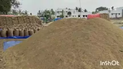 உடையார்பாளையம்: மண்டலத்தில் 11 கிராமங்களில் அரசு நேரடி நெல் கொள்முதல் நிலையங்கள் நாளை மறுநாள் முதல் திறப்பு- ஆட்சியர் அறிவிப்பு