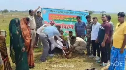 चौपारण: मुखिया वीरेंद्र रजक के प्रयास से वन विभाग द्वारा ओबरा मालिकाना एवं बछई में पौधारोपण