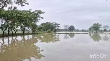 भंडारा: भंडारा जिल्ह्याला अतिवृष्टी व पुराचा फटका ; 4936 हेक्टर मधील पिके जमीनदोस्त ! प्रशासनाचा प्राथमिक नजर अंदाज अहवाल जाहीर