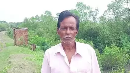 কুলতলি: দেউলবাড়ি এলাকায় পর্যাপ্ত আলোর অভাবে লোকালয়ে বাঘ আসছে এমনই অভিযোগ স্থানীয়দের