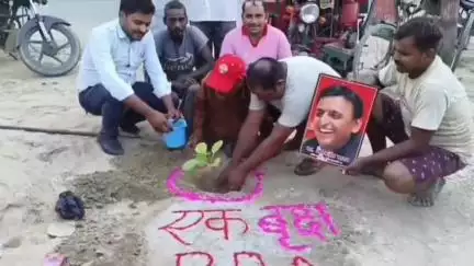 बीकापुर: गुंधौर चौराहे पर सपा के प्रांतीय नेता ने वृक्ष PDA के नाम अंतर्गत किया वृक्षारोपण, भाजपा सरकार पर साधा निशाना
