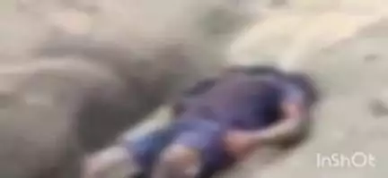 बैकुंठपुर: नगर के जंगल में मिली सड़ी लाश, पुलिस मामले की कर रही जांच