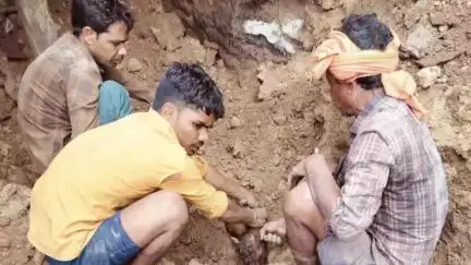 बड़वारा: ग्राम झरेला में दीवार गिरने से तीन बकरियों की मौत, पीड़ित ने थाने में सूचना दर्ज कराई