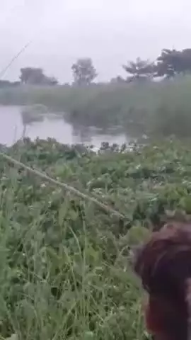 बीसलपुर: सिद्धनगर गांव में तालाब में अज्ञात युवक की डेड बॉडी मिलने से मचा हड़कंप