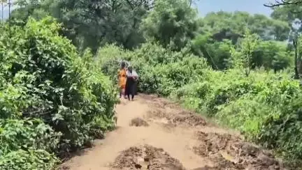 ସଦର: ଭବାନୀପାଟଣା ବସତି ର କମ୍ ଦୂରେ ବିକାଶ ର ବାଟ ଖୋଜୁଛି ତେନ୍ତୁଳିଚୁଆଁ, କାଦୁଅ ପଚପଚ ରାସ୍ତା ରେ ଆଜି ବି ମୌଳିକତା ଖୋଜୁଛି ଗାଁ
#jansamasya