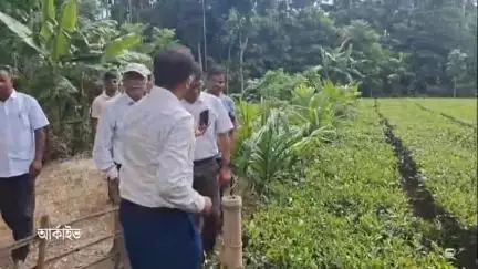 সীতাই: কোচবিহার এর সিতাইয়ে চা চাষিদের জন্য বিশেষ কর্মশালা ও প্রশিক্ষণ