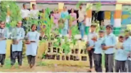 विद्यार्थियों ने अमृत महोत्सव में हरियाळो राजस्थान अभियान के तहत स्कूल में लगाए 300 पौधे