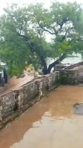 वलदेवगढ़: ग्राम मदनसागर का तालाब आया उफान पर गांव मे बाढ़ आने की स्थिति जताई जा रही है। #mvzone054 #viralvideo