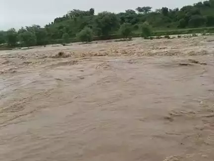 बाढ हालात बने हुए नाला ऊपर तीनों गांव की आगमन बंद कैमारा खुर्द गडूला राधेन रायडी बंथर
#sabalgarh #morena