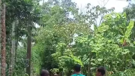 করিমগঞ্জ: আছিমগঞ্জ ফরিদকোণা GP-র 9 নং ওয়ার্ডের বিদ্যুৎ তার বদলের জন্য বিভাগীয় কর্তৃপক্ষকে ধন্যবাদ জানাল রাইজর দল #jansamasya